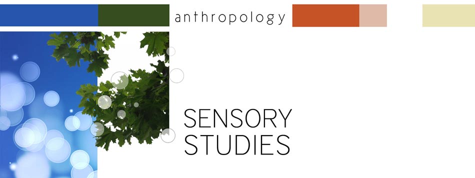 Sensory Studies